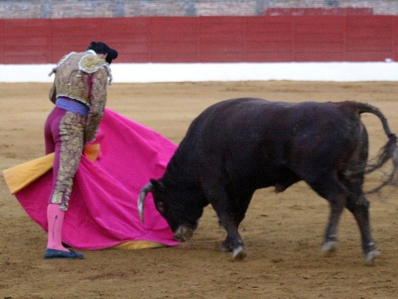 Fuertes emociones en la tercera novillada del XI Encuentro Andaluz de Escuelas de Tauromaquia de Baeza