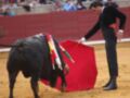 Un torero sostiene un paño rojo mientras una vaca se prepara para la corrida de toros en una plaza de toros.