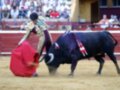 Un torero en traje tradicional lucha con un toro negro en una plaza de toros, mientras el público observa desde las gradas.