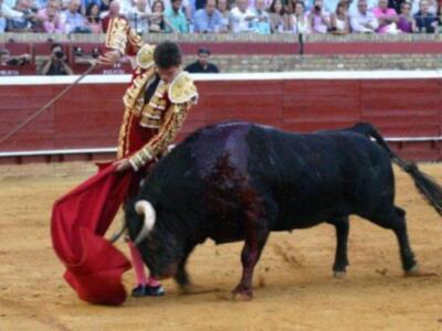 Susto y voltereta de José Tomás que sufrió una cogida en Huelva sin consecuencias