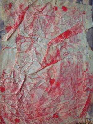 Miguel Caiceo, primera obra