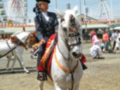 Un niño monta un caballo blanco en una feria, con un telón de fondo que incluye un carnaval y varios palcos.