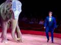 El circo Mundial es un espectáculo de magia y acrobacias en el que un hombre camina con una vara de madera mientras un elefante gigante se inclina hacia él.