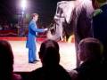 Un circo con un elefante y un payaso en el centro, mientras la audiencia observa atentamente.