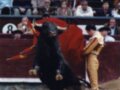 Un torero lidiando un toro en una corrida de toros, rodeado por un público atento en la plaza de toros.