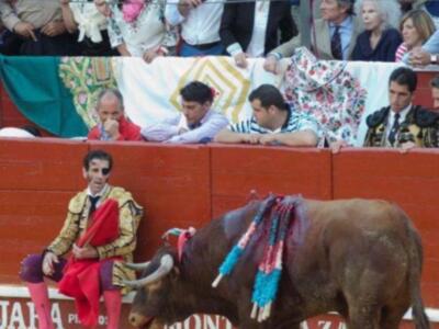 La duquesa de Alba reanuda su vida en Sevilla tras la luna de miel