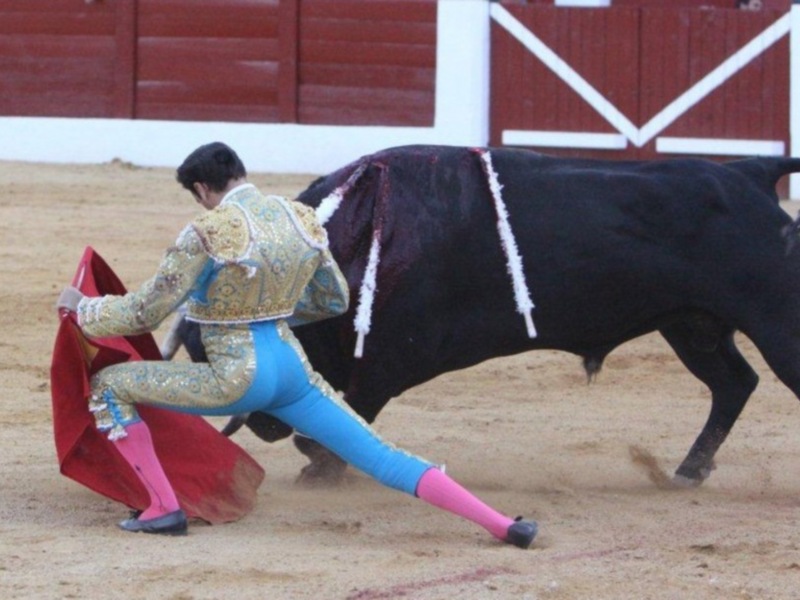 Un torero en traje tradicional lucha con un toro negro en una plaza de toros. El fondo muestra una pared roja y blanca con un diseño geométrico.