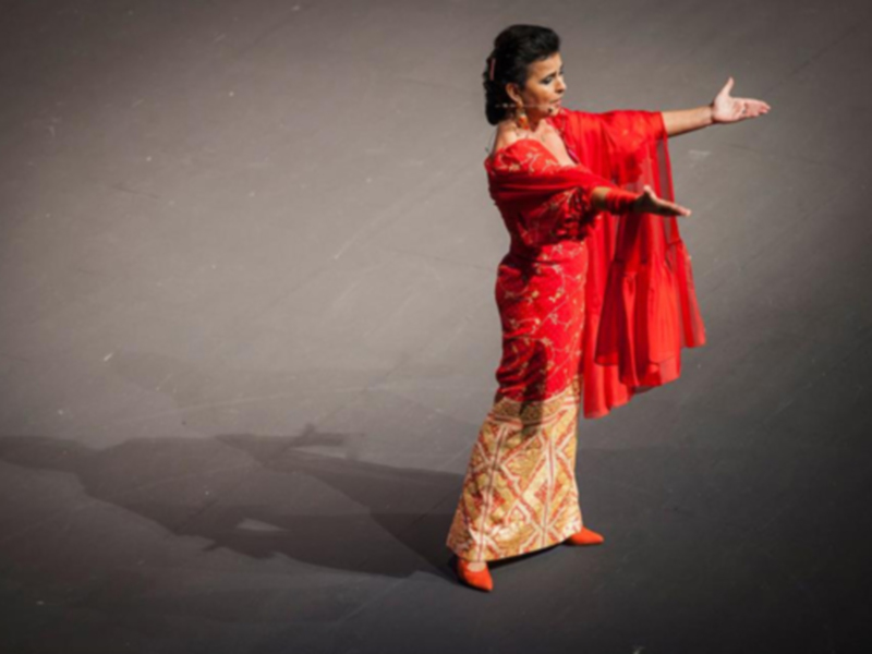 Danza tradicional en traje rojo y dorado, expresión artística en escenario.