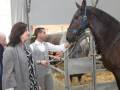 Persona intercambiando gestos con un caballo en una exposición o feria agrícola.