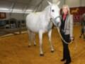 Una mujer posa junto a un caballo blanco en un establo con piso de arena y un cartel con la imagen de un caballo en el fondo.