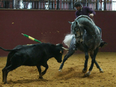 Ventura padre e hijo entrenan juntos en la finca de Bohórquez