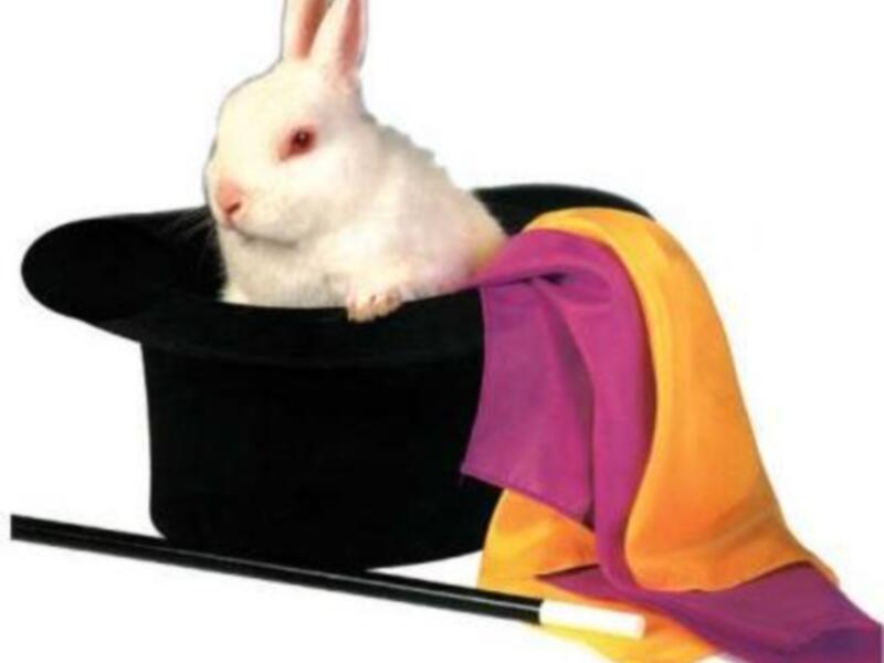 Un conejo blanco emerge misteriosamente de un sombrero de mago con un bastón y pañuelo de colores.