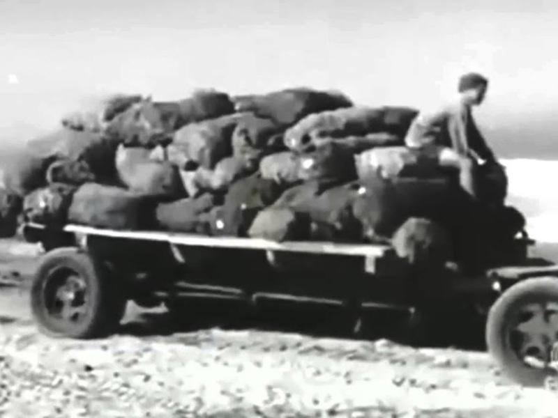 El conflicto del Ifni, en el documental histórico "La Guerra olvidada"