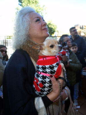 La bendición de San Antón reúne a fieles y mascotas en la Parroquia de la Resurrección del Señor de Sevilla 