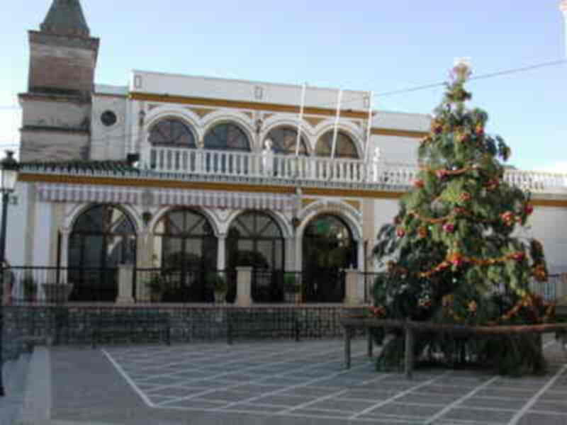Un gran Árbol de Navidad ecológico centra la decoración navideña en Gines