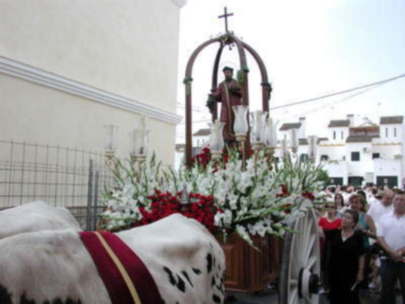 San Ginés estrenó su nueva carreta, que volvió a estar tirada por bueyes