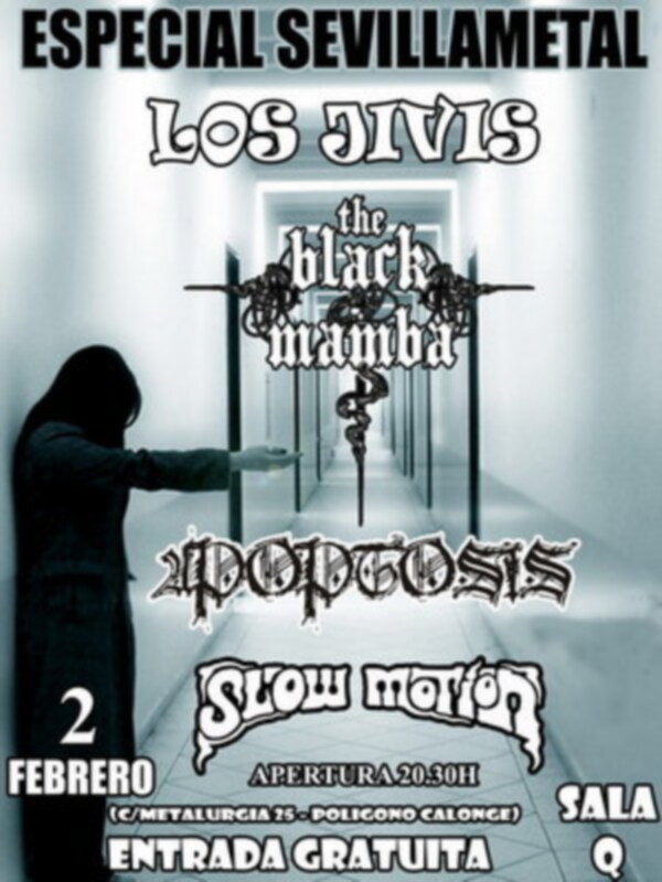 Noche de Rock and Roll en Sevilla , 2 Febrero Sala Q