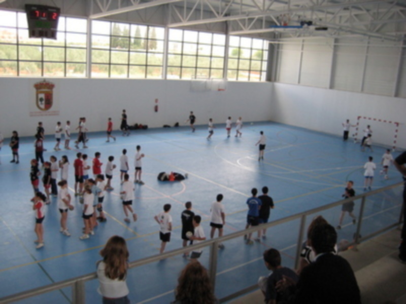 Gerena acogió una concentración de la selección andaluza infantil 2008 de balonmano