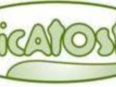 Picatoste al 50% de descuento