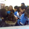 Mil escolares visitaron  la exposición de Educación para la paz en Chipiona