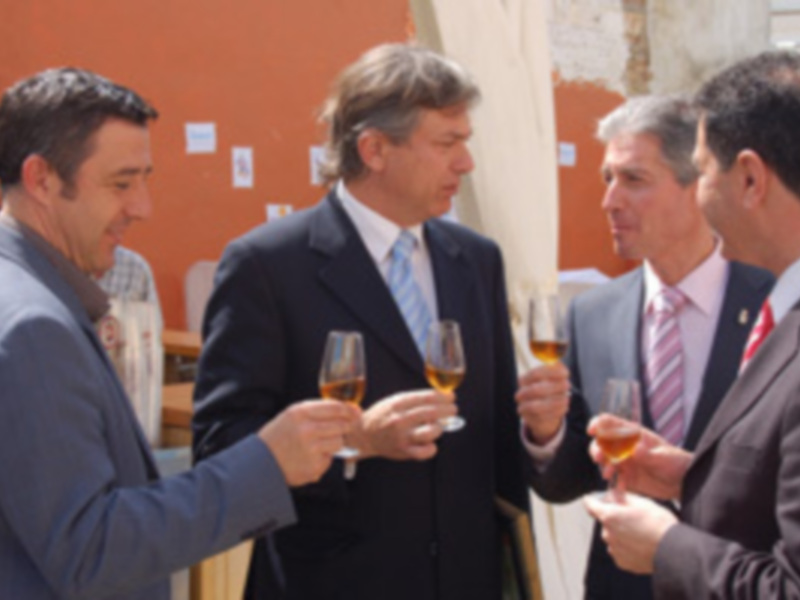 Pedro Rollán inaugura la I Feria Solidaria de la Tapa