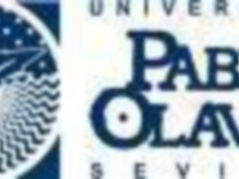 La Facultad de Empresariales de la UPO ofertará sus grados europeos en inglés