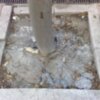 En Sevilla en el Parque Tecnológico numeroso árboles afectados por la construción del carril bici.