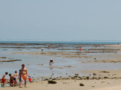 Familias disfrutan de un día soleado en la playa, explorando la zona de mareas bajas y jugando en el agua.