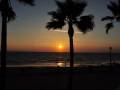 Puesta de sol en la playa con palmeras y siluetas de personas en la orilla. El cielo se pinta de naranja y azul, mientras el mar se oscurece con el amanecer.