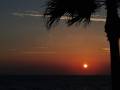 Puesta de sol en la playa con un árbol de palmera en primer plano. El cielo está lleno de nubes y el sol se oculta en el horizonte, dejando un cielo rojo y naranja.