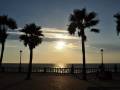 Puesta de sol sobre el mar, con siluetas de palmeras y farolas en la orilla.