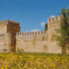 El Coronil 