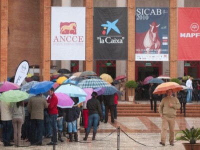 Inauguración del SICAB 2010 bajo la lluvia, con asistentes sosteniendo paraguas y banderas de patrocinadores en el fondo.
