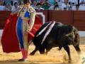 Un torero se enfrenta a un toro en una corrida de toros, con el público al fondo.