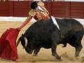 Un torero en traje tradicional enfrenta a un enorme toro negro en una plaza de toros. La escena está iluminada por la luz del día, y el suelo es de arena. El toro lucha con fuerza mientras el torero, vestido con un traje rojo y dorado, sostiene una muleta. La imagen captura el espíritu de la tauromaquia en acción.