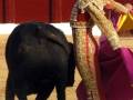 Un torero en traje tradicional de color dorado y rojo, con un capote púrpura, enfrenta a un toro negro en una plaza de toros. La escena está rodeada por espectadores detrás de un muro rojo y una valla blanca.