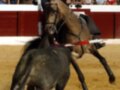 Un jinete monta un caballo en una corrida de toros, con otro caballo negro a su lado. La arena está llena de público en un ambiente festivo y emocionante.