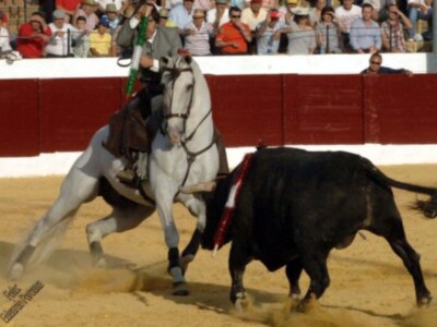Ventura y Mendoza empatan en el duelo de osuna