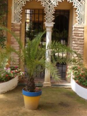 La Duquesa Alba confirma en un comunicado que se casara en Sevilla a primeros de octubre  