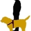 Método Arcón intervendrá en las Jornadas Conmemorativas X Aniversario de la AUPGA (Perros Guías de Andalucía) en Sevilla 