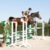 Comienza el Campeonato de Saltos de Andalucía‏