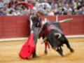 Un torero con un capote rojo lucha contra un toro en una plaza de toros. El toro está en movimiento, con el capote colgando del suelo y el torero intentando controlarlo. La arena está cubierta de polvo, y al fondo se pueden ver espectadores con paraguas.