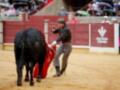 Un torero con un traje tradicional se enfrenta a un toro en una plaza de toros. La imagen muestra el entusiasmo y la tradición del arte de la tauromaquia.