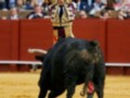 Un torero en traje tradicional lucha con un toro negro en una plaza de toros. El torero sostiene un pañuelo rojo y tiene el ojo protegido con una muleta. La arena es de tierra amarilla y el fondo tiene un muro rojo con espectadores.