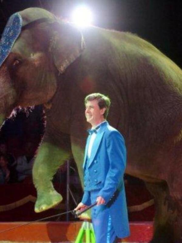 El conde de Salvatierra debuta como domador de elefantes en el circo mundial en Sevilla.
