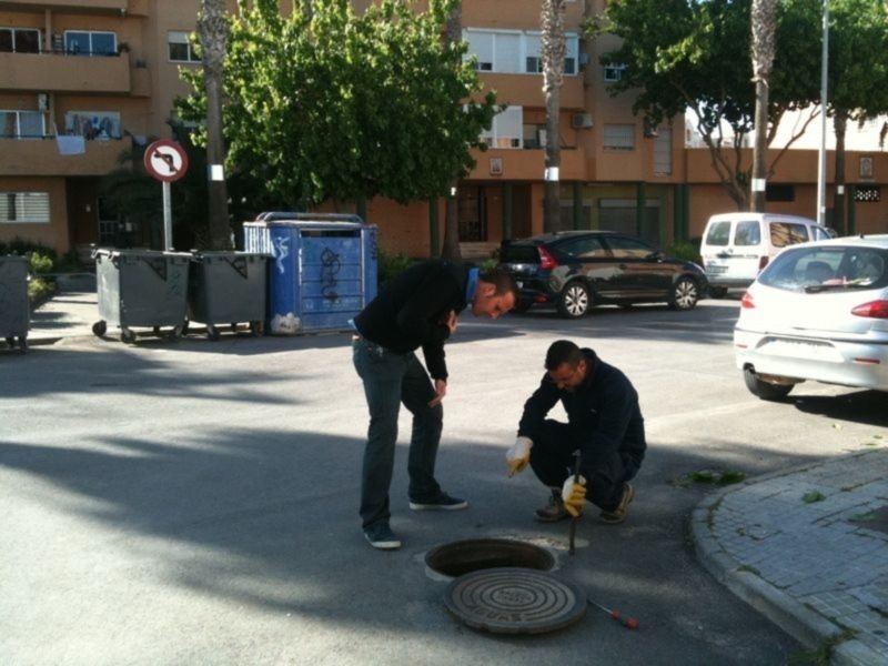 El día cuatro de junio comenzará la campaña de desratización y desinsectación con vistas al verano(Chipiona) 