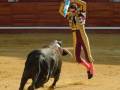 Un torero en traje tradicional de color amarillo y rojo, con un chaleco azul, lucha contra un toro negro en una plaza de toros. El torero sostiene un capote azul y rojo, mientras el toro se desplaza hacia atrás. La arena está cubierta con tierra y hay espectadores en los palcos detrás de la plaza.