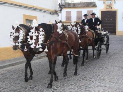 Boda en Jerez de Mercedes Bohorquez Domecq con Bruno Oliver Bultó