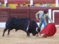Un torero con un chaleco azul y amarillo, una camisa blanca con detalles dorados y un sombrero de copa, lucha contra un toro negro en una plaza de toros. El torero sostiene una capa roja y usa un varita para controlar al animal. La arena está llena de público en el fondo, y la pared del ruedo es roja con una bandera amarilla y verde.