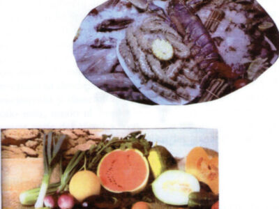 CHIPIONA, LUGAR DE VERANEO , POR VICENTE SOTO OLIVA 